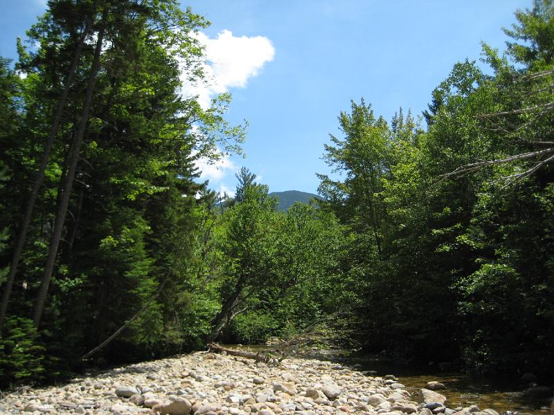 PemiTraverse (22).JPG - Mt. Carrigan rises above the woods. The tower is clearly visible, but doesn't appear in this picture.